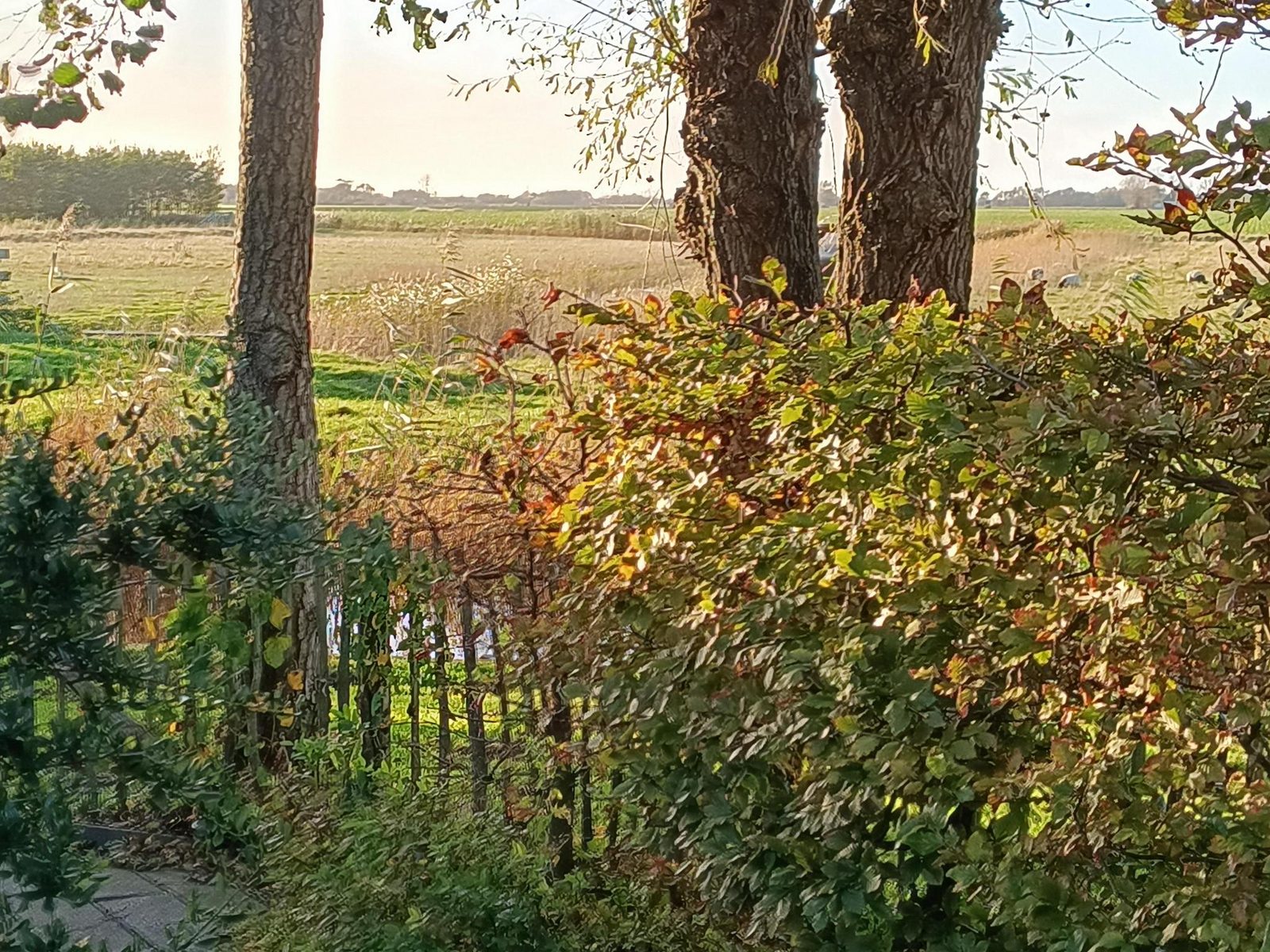 Vogelvrij 3