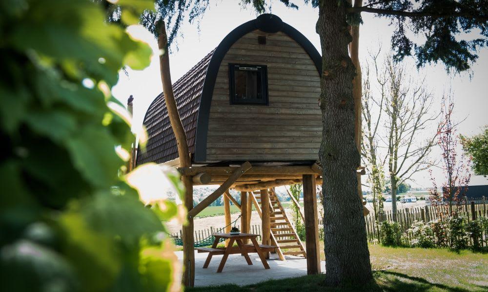 Treelodge 2 1