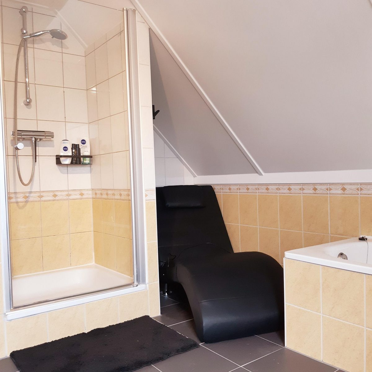 Dijkhuis Sauna 6