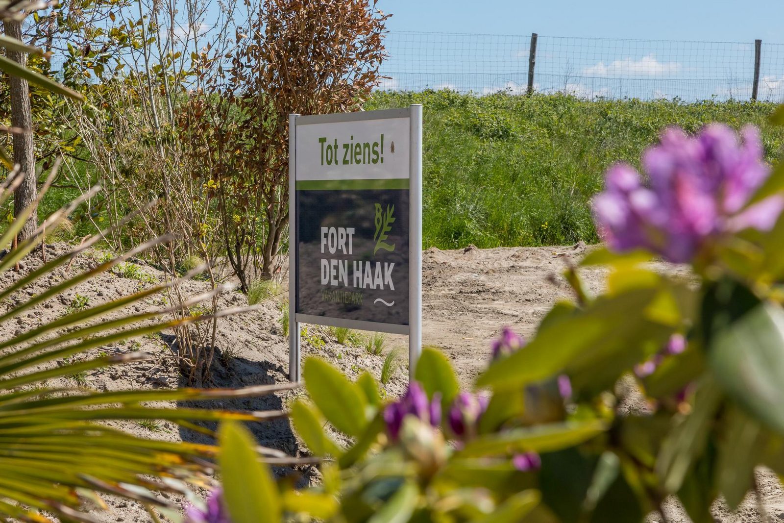 Chalet 2 Personen - Ferienpark Fort den Haak | Vrouwenpolder (Haustier erlaubt)