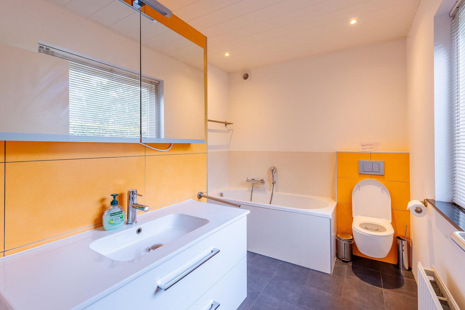 VZ1159 Vrijstaand vakantiehuis met sauna in Oostkapelle