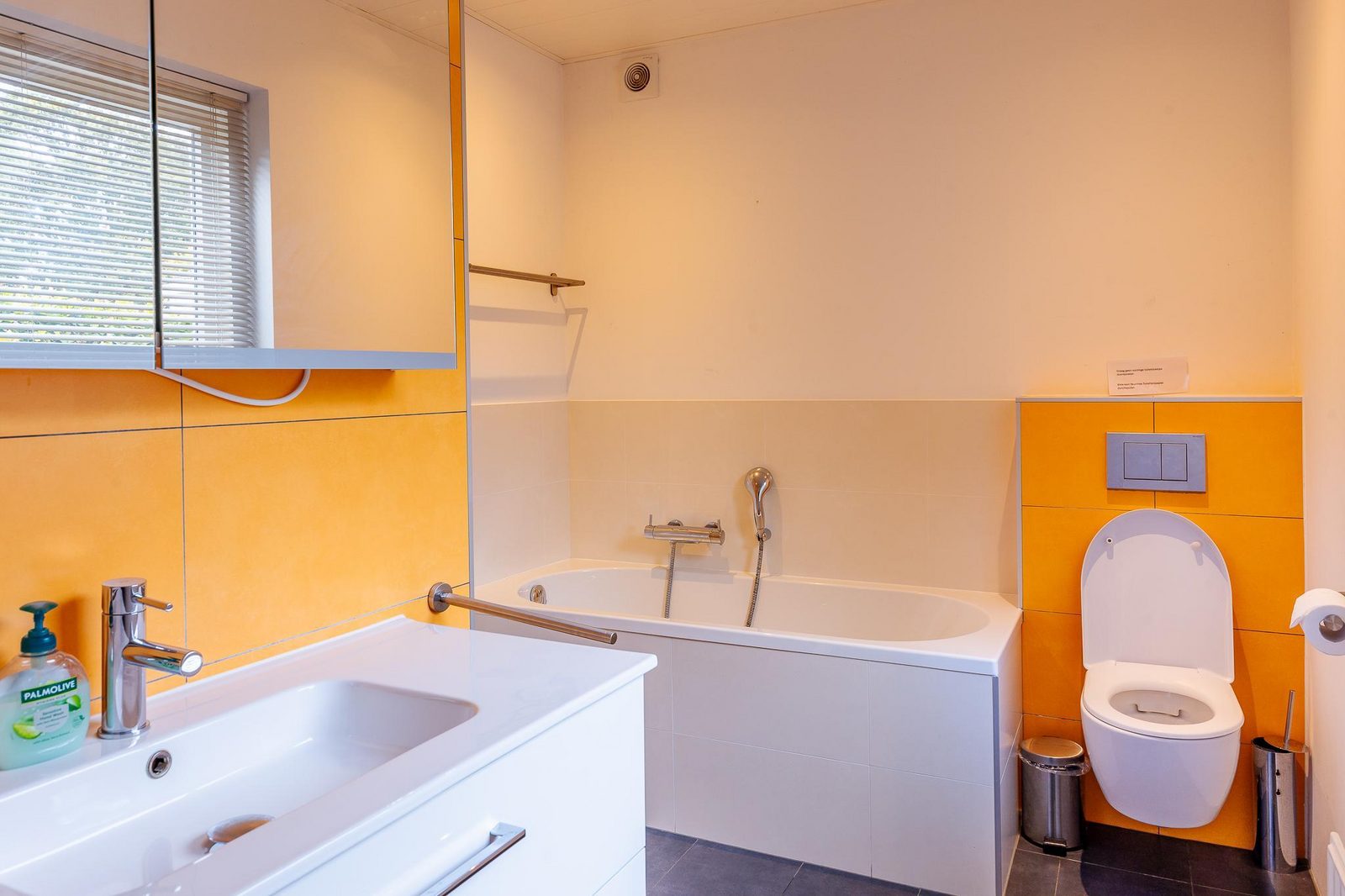 VZ1159 Vrijstaand vakantiehuis met sauna in Oostkapelle