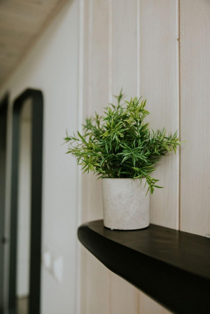 Tiny house XL | 2-4 persoons
