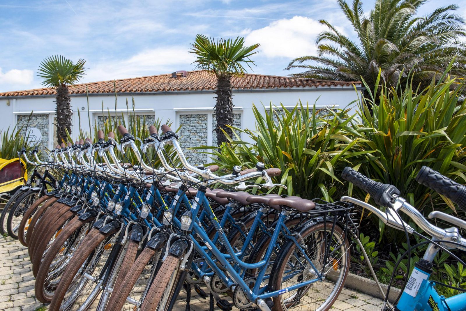 Sophora 8 avec piscine