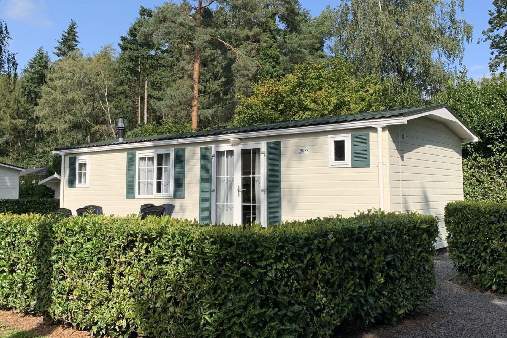 Velthorst 6 1