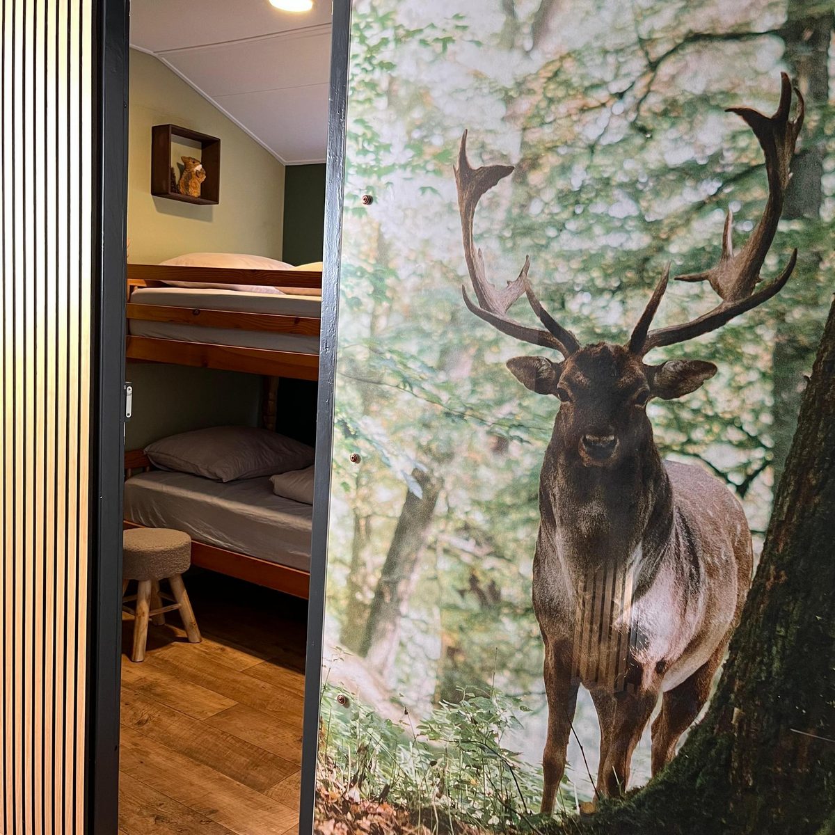 Veluwe Chalet | 6 persons