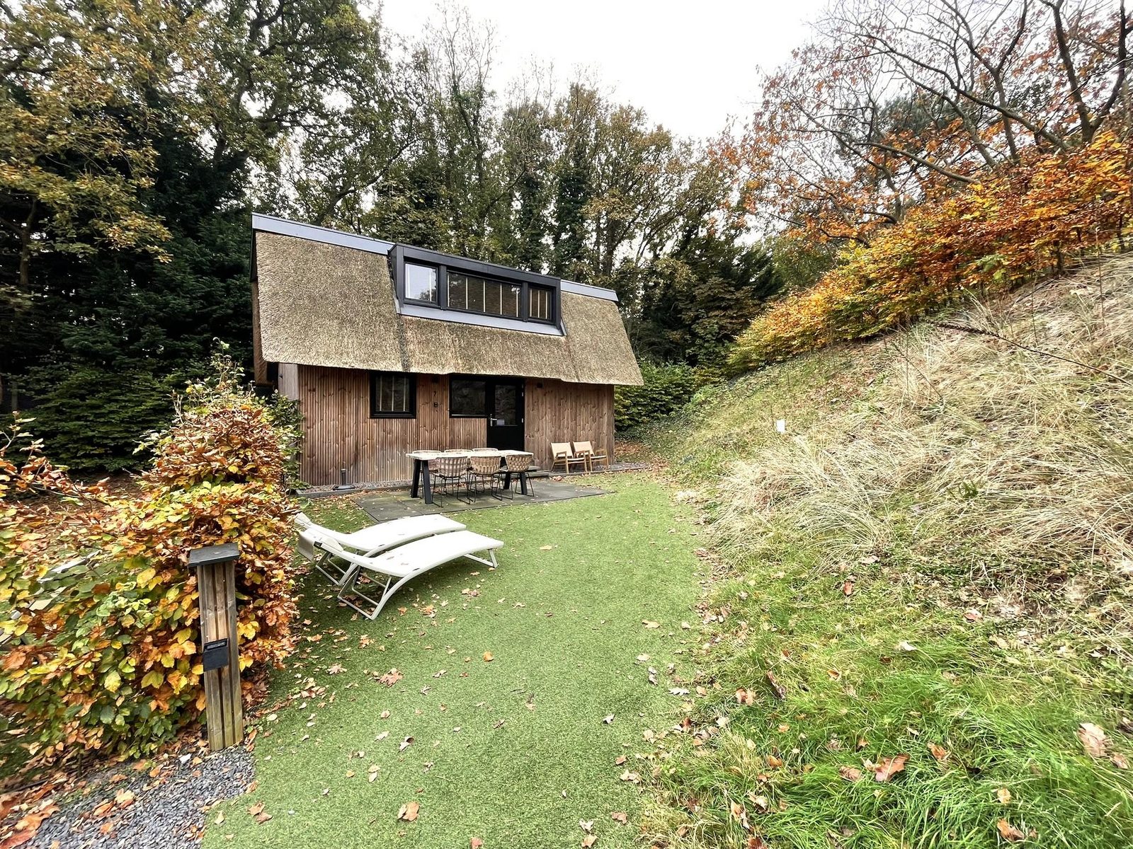6-persoons Duinlodge Bosrand