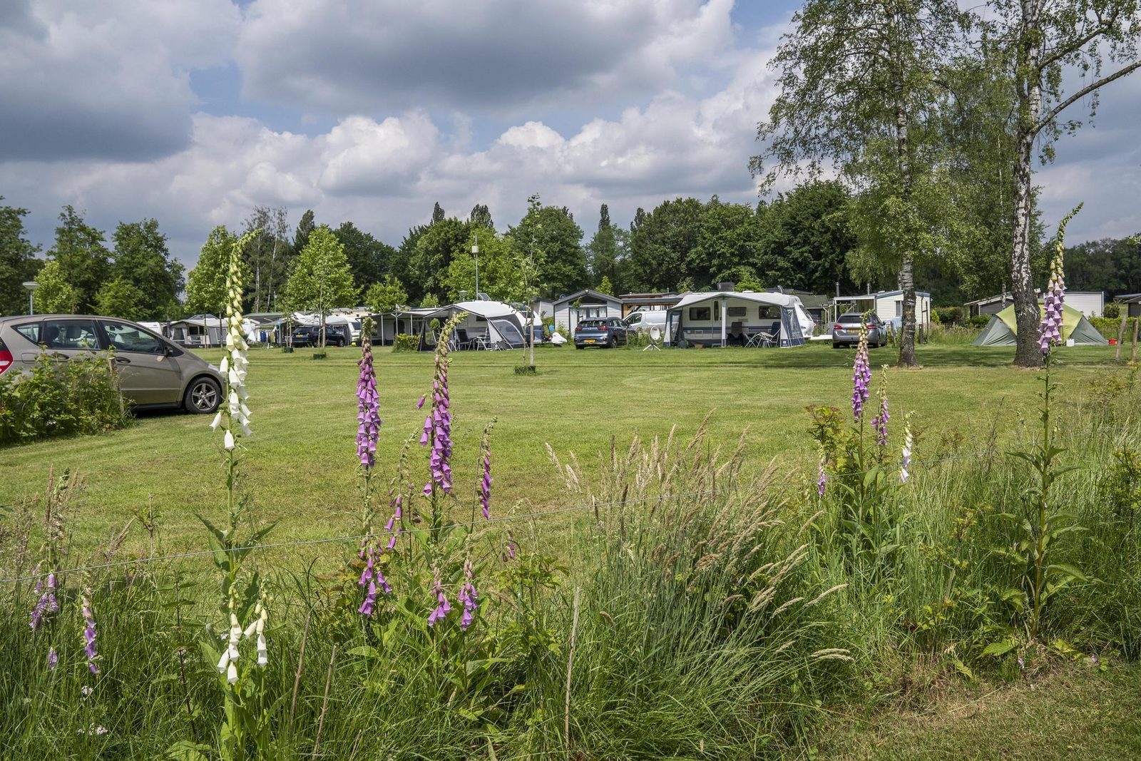 Kampeerplaats Royaal 50+