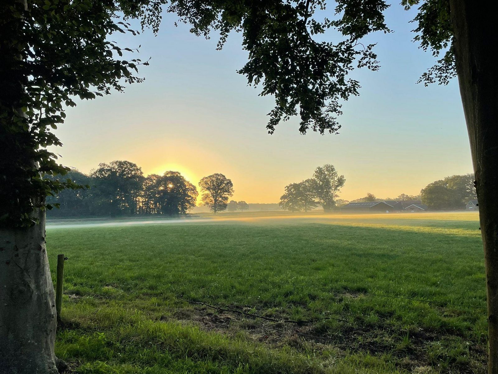 Kampeerplaats Royaal 50+