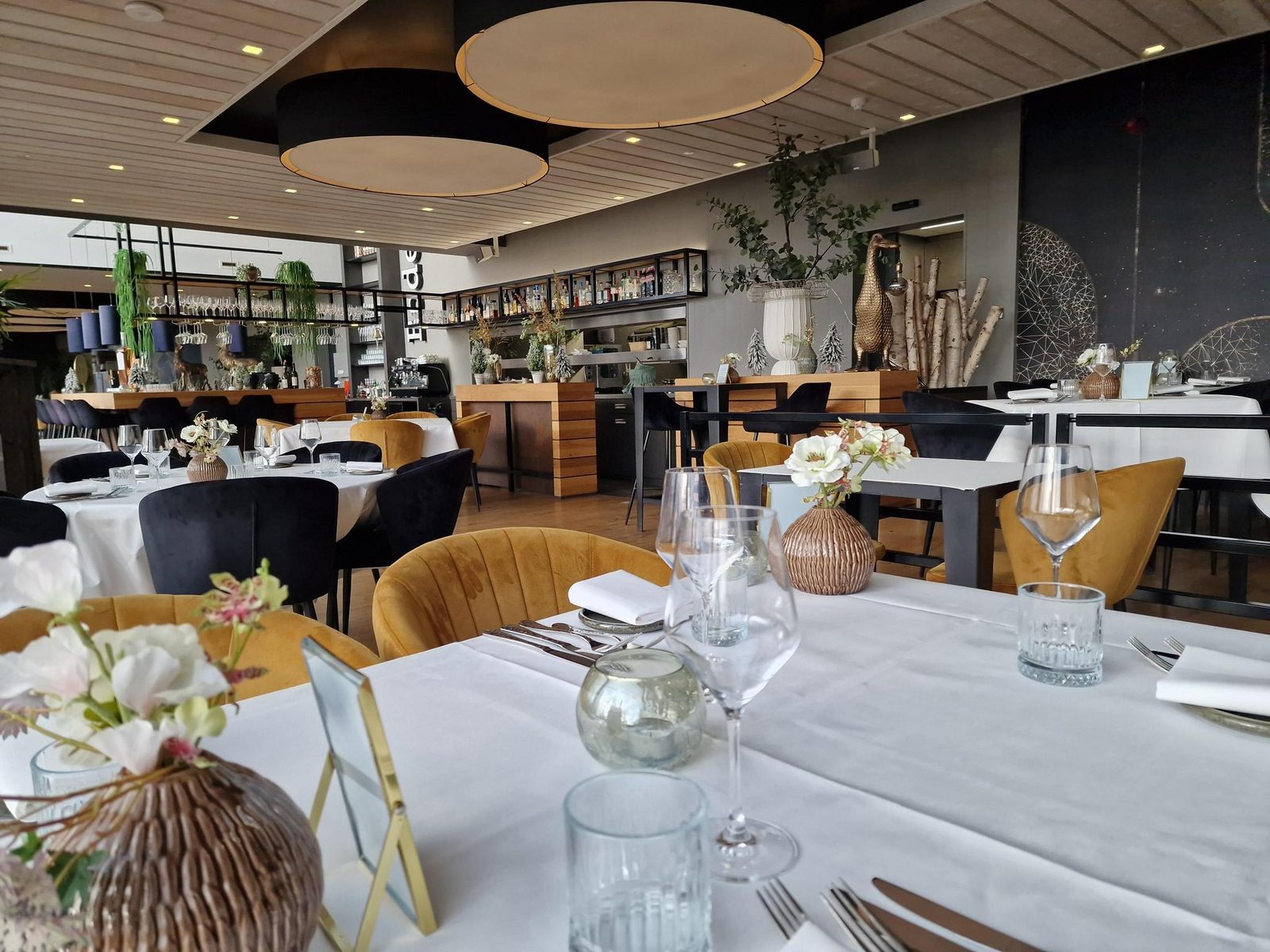 Rietburg Wellness 4p Premium