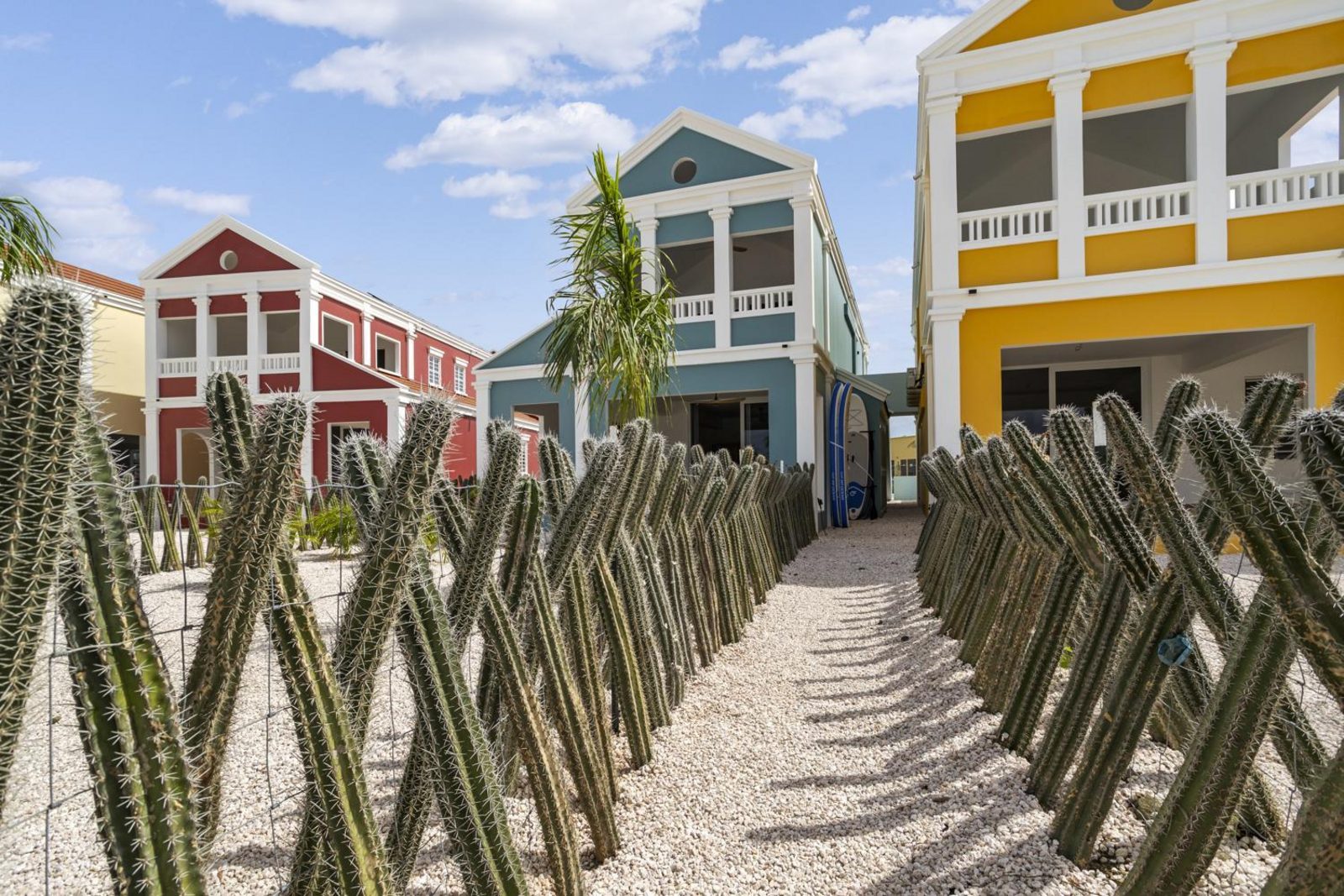 Casa Blue Marlin