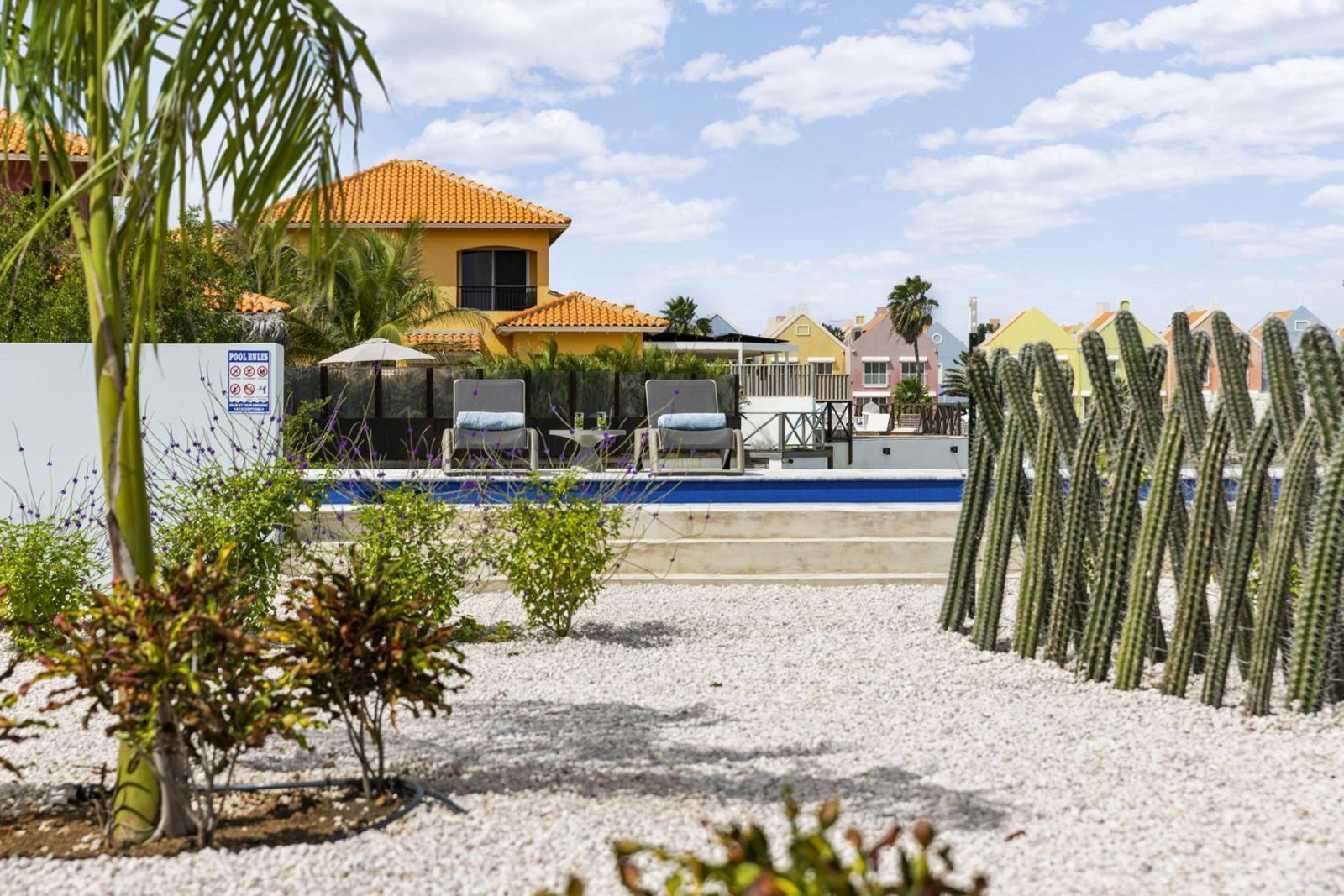 Casa Blue Marlin