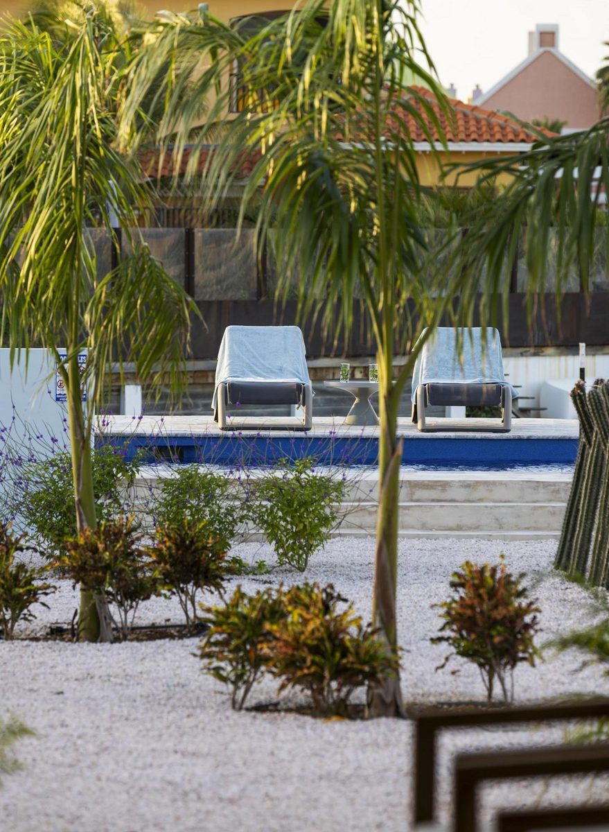 Casa Blue Marlin