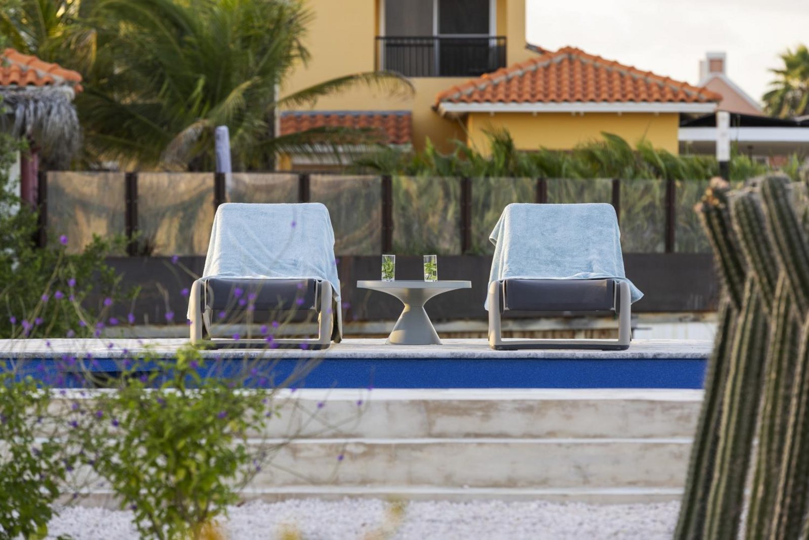 Casa Blue Marlin