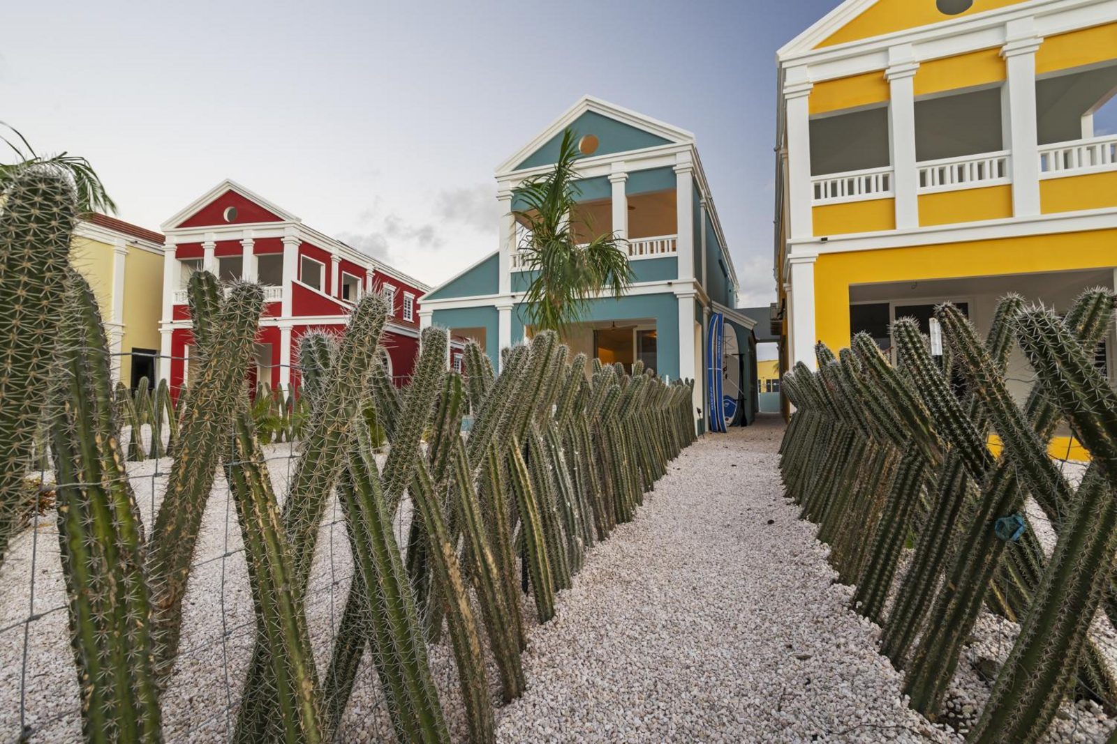 Casa Blue Marlin