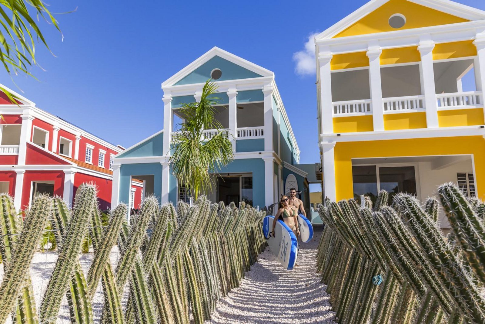 Casa Blue Marlin