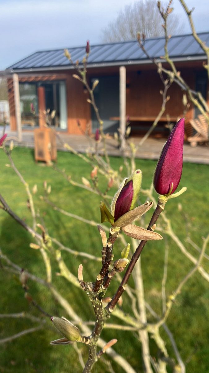 Huisje Lupine C016