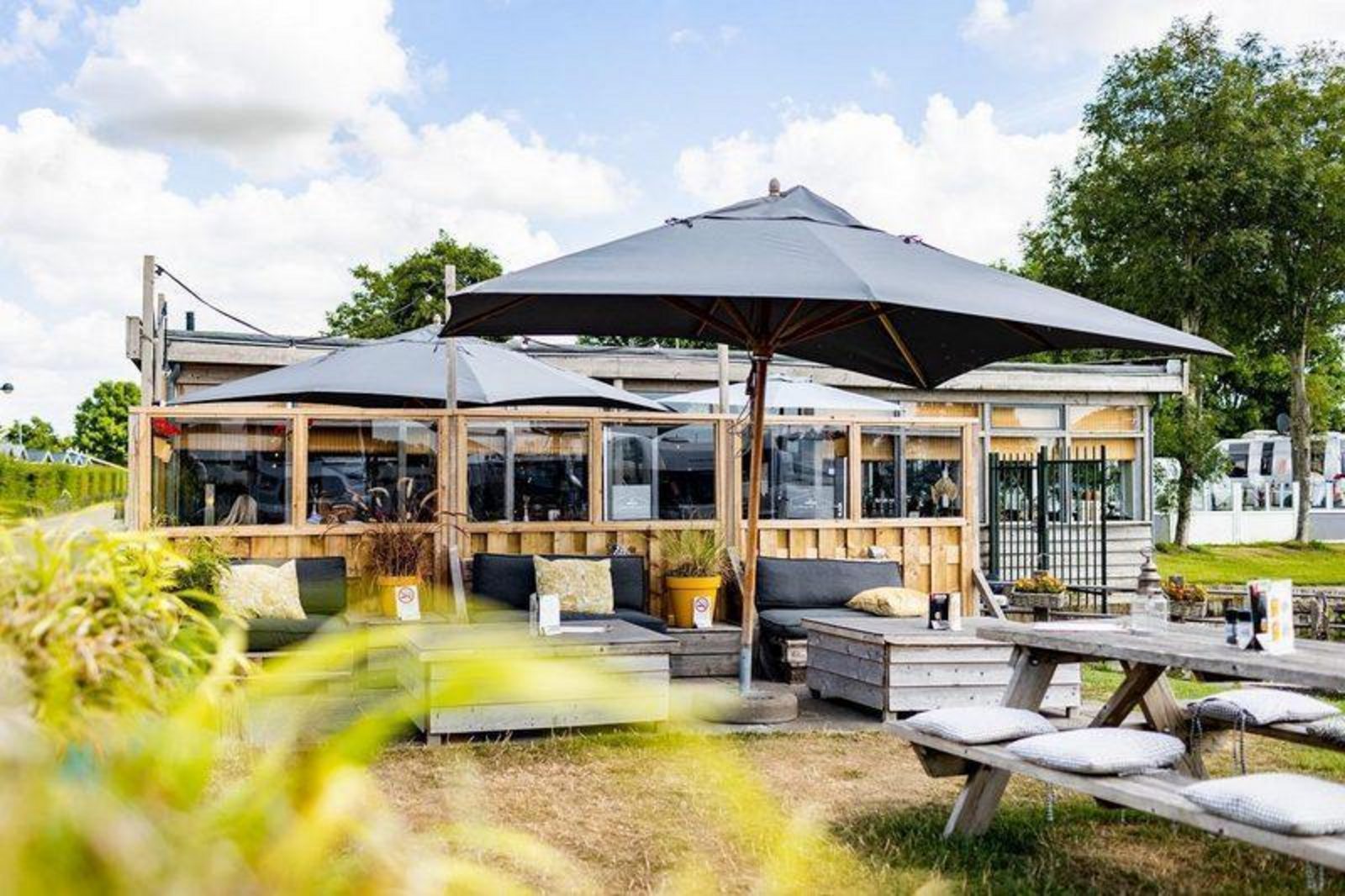 The Surfing Field (35 m²)