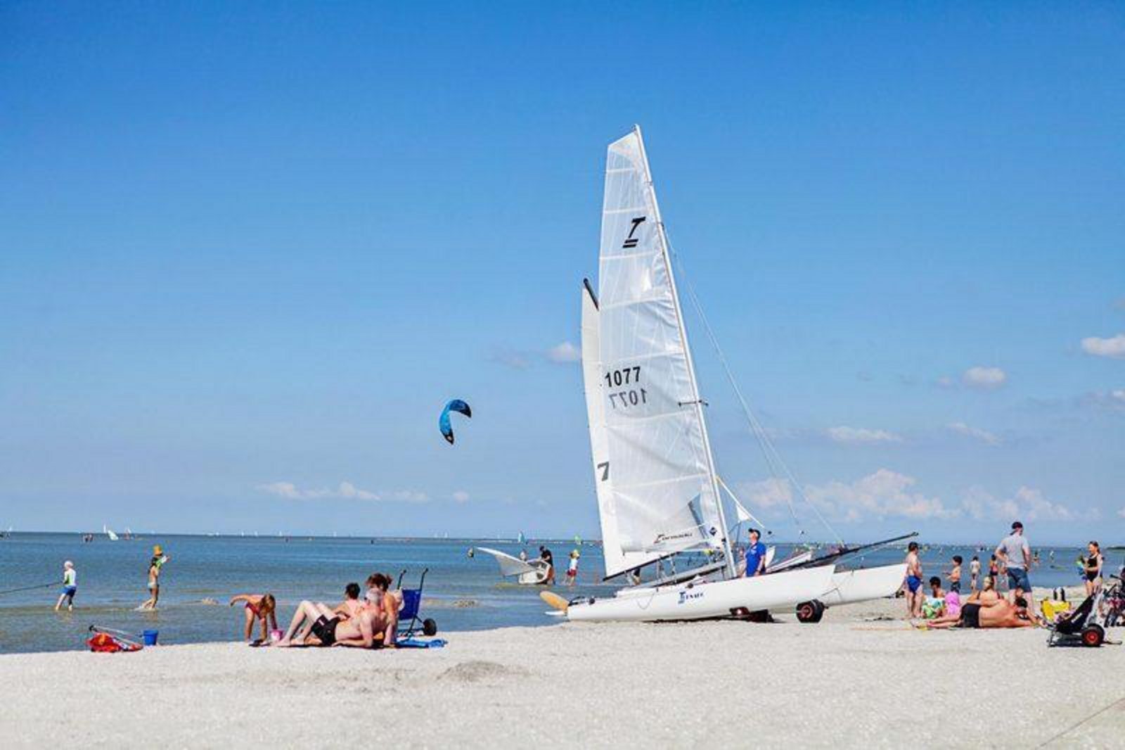 The Surfing Field (35 m²)