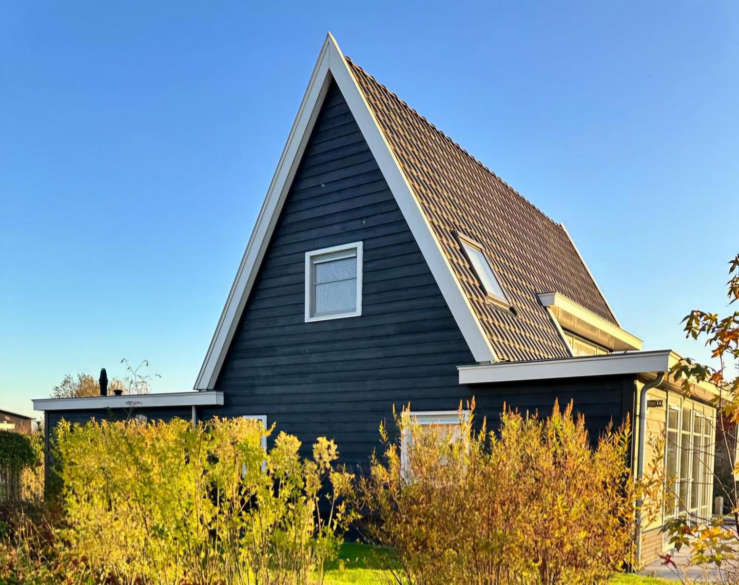 Wieden 6p Standard 