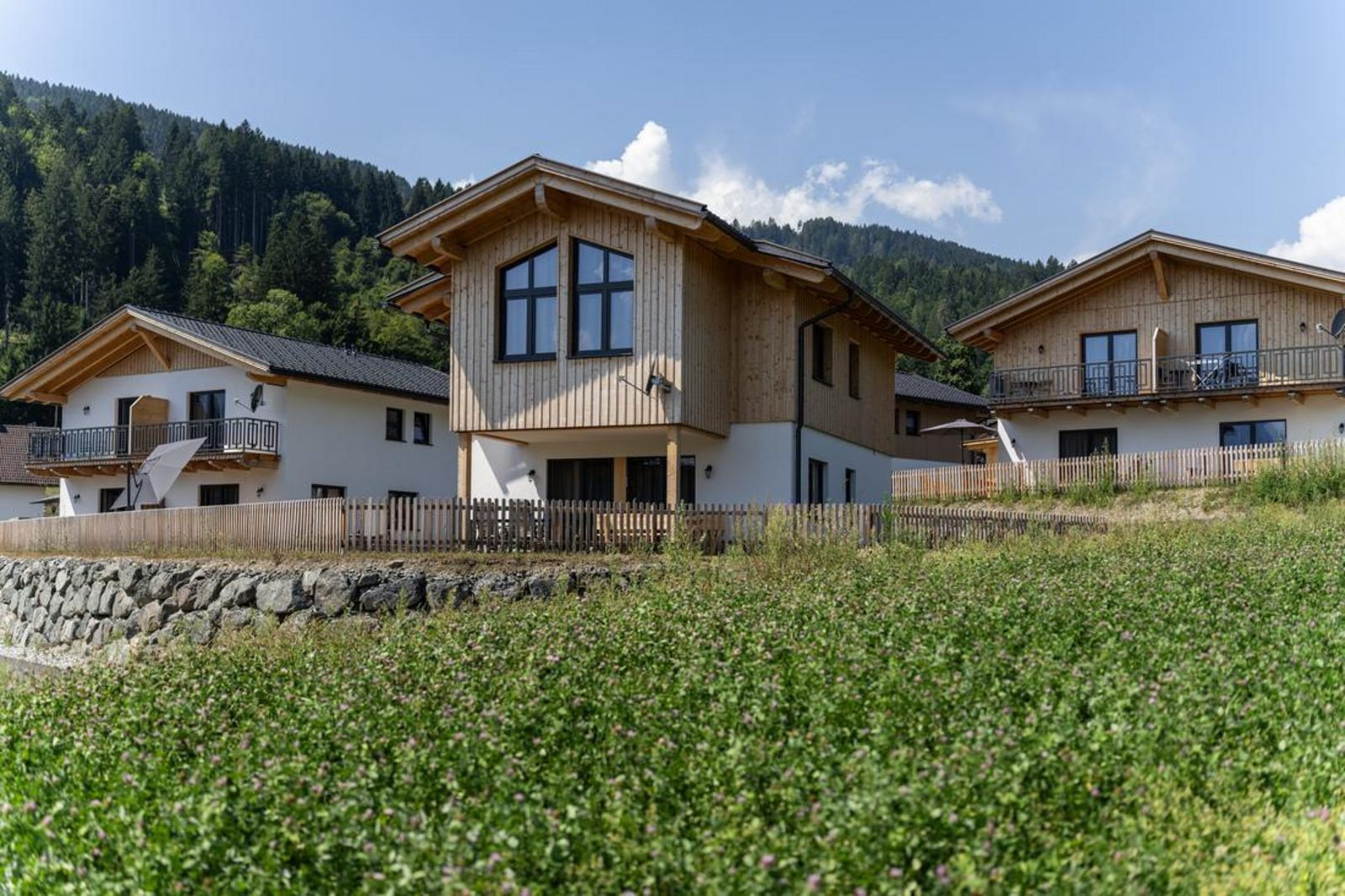 Luxury Nature Chalet 6CE