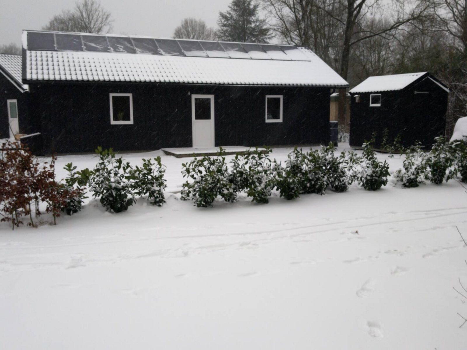 Bungalow 115A