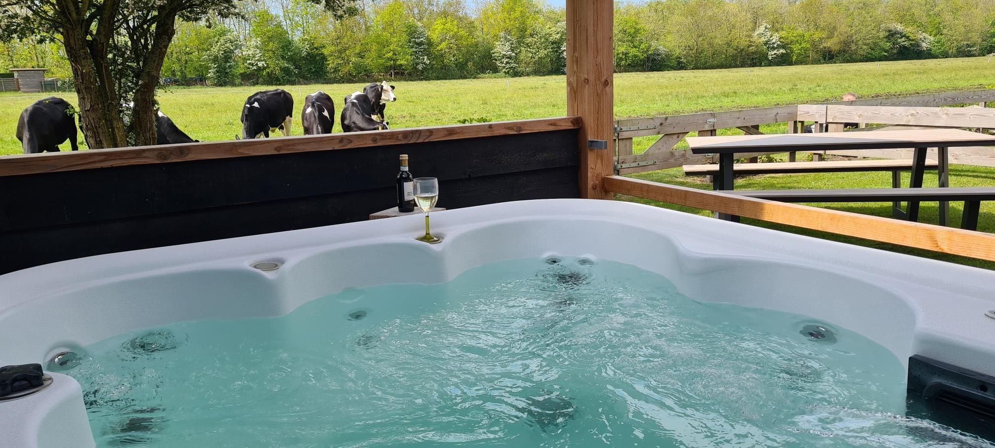 Erleben Sie ein einzigartiges Erlebnis in der Boerderijkamer mit privatem Whirlpool im Freien, atemberaubender Aussicht und komfortablen Einrichtungen. Genießen Sie einen sorglosen Aufenthalt mit fri..