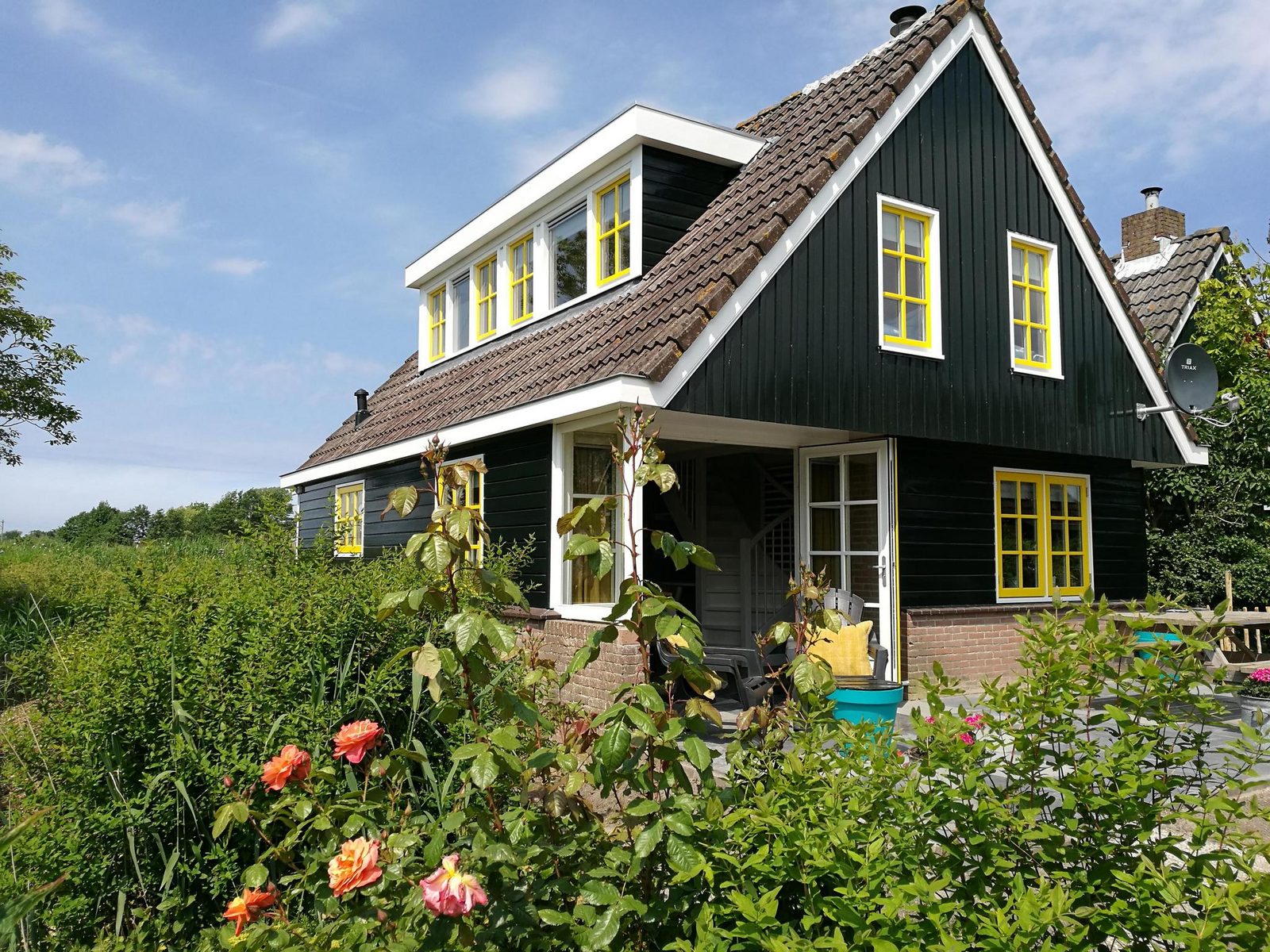 Bonte Koe 1