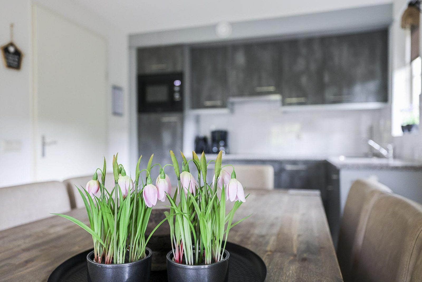 Notariswoning: 2-8-personen 