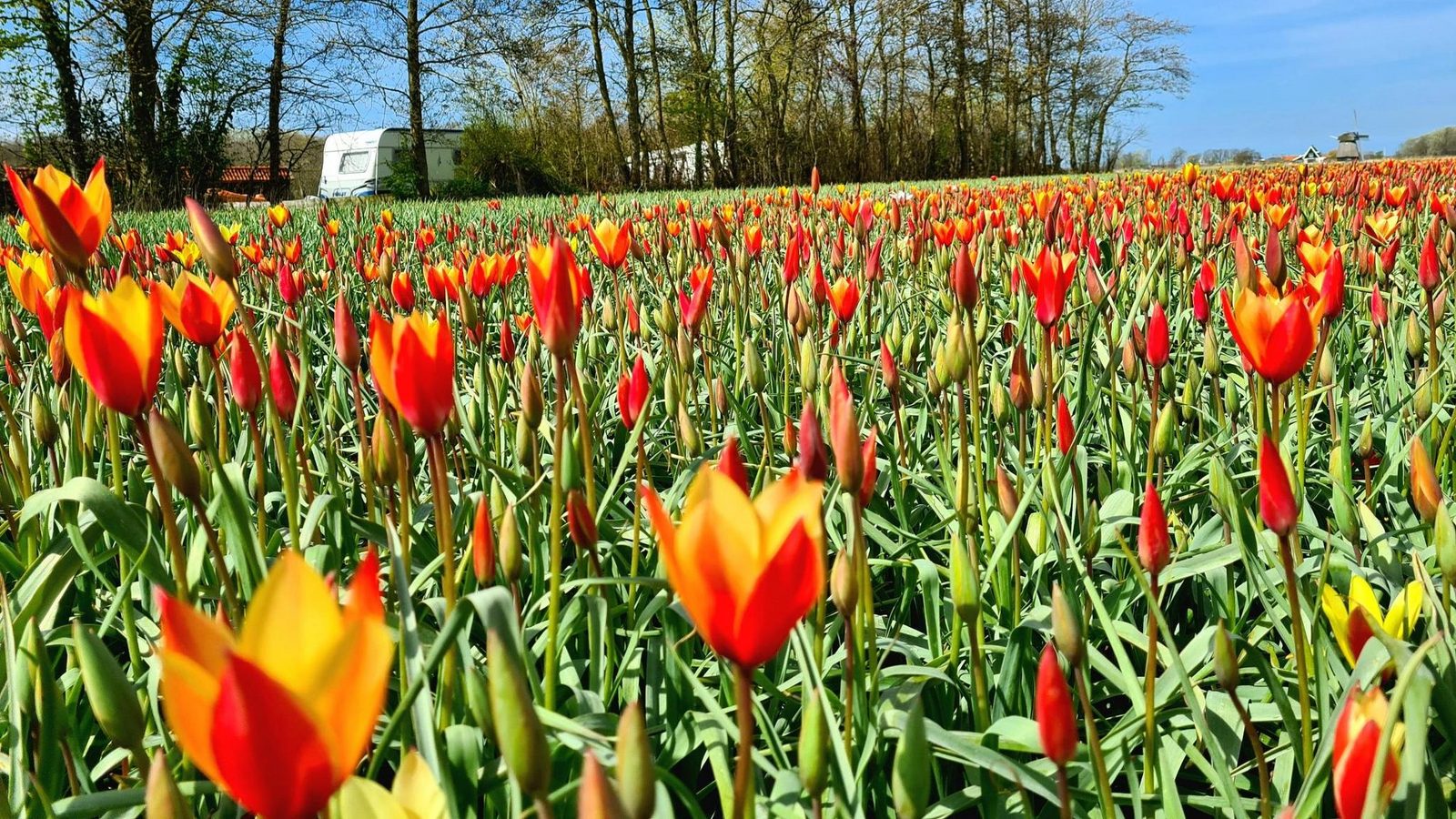 Stellplatz
