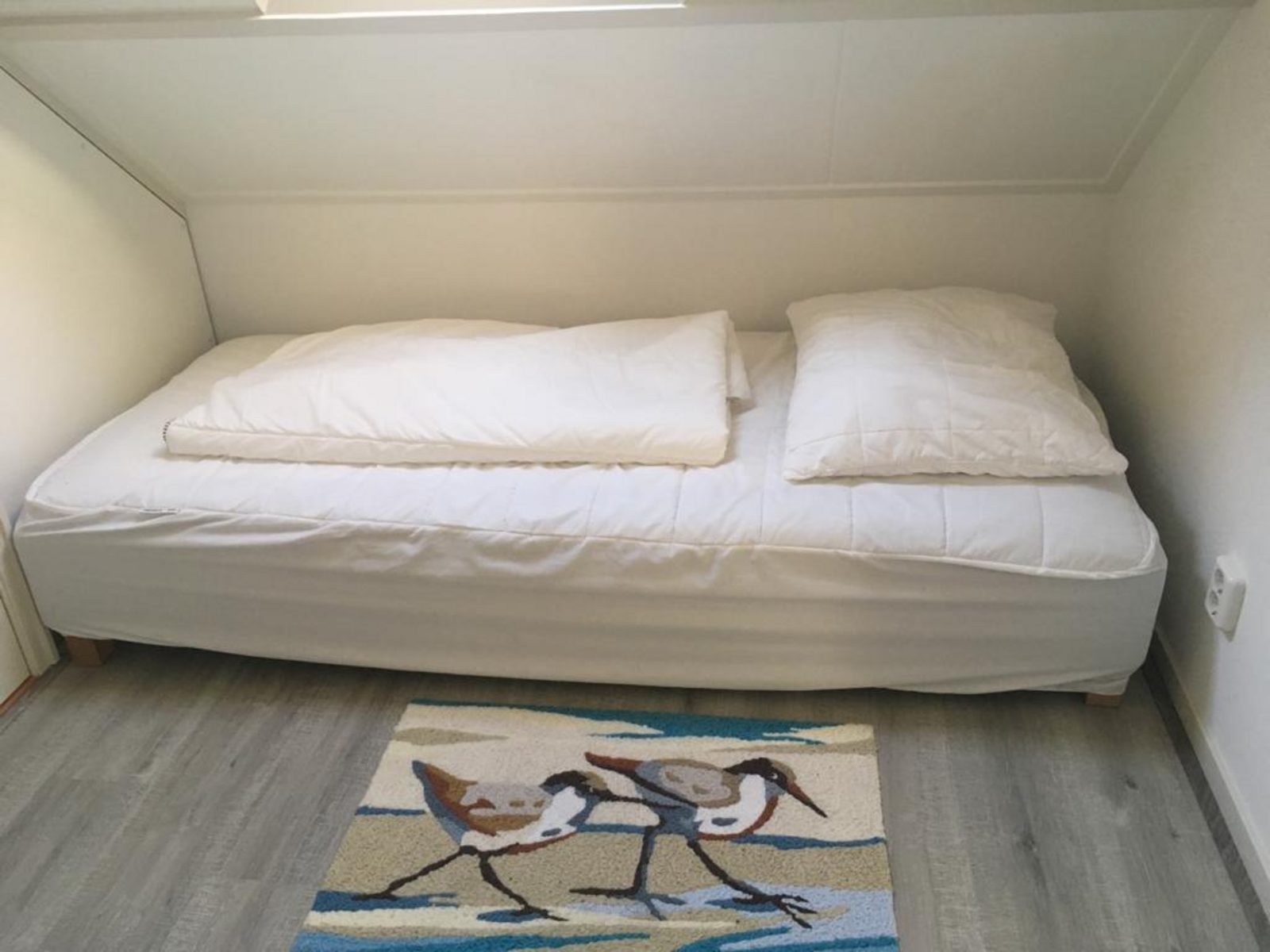 Kleine strandloper