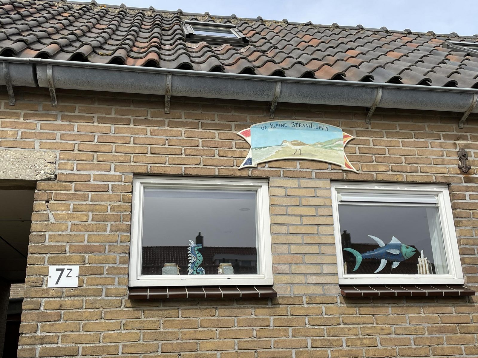 Kleine strandloper