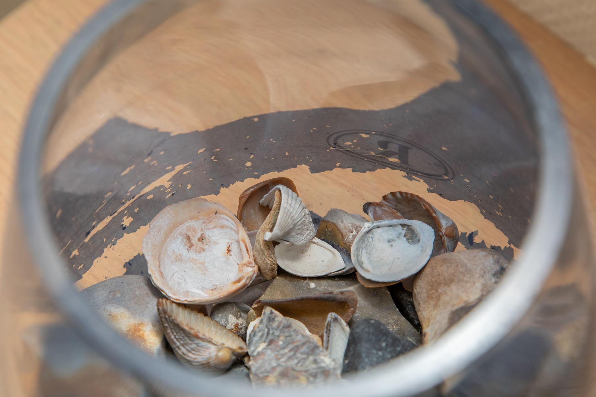 Appartement - Langstraat 29A | Zoutelande