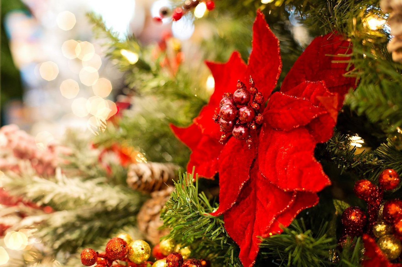 Kerstpakket 