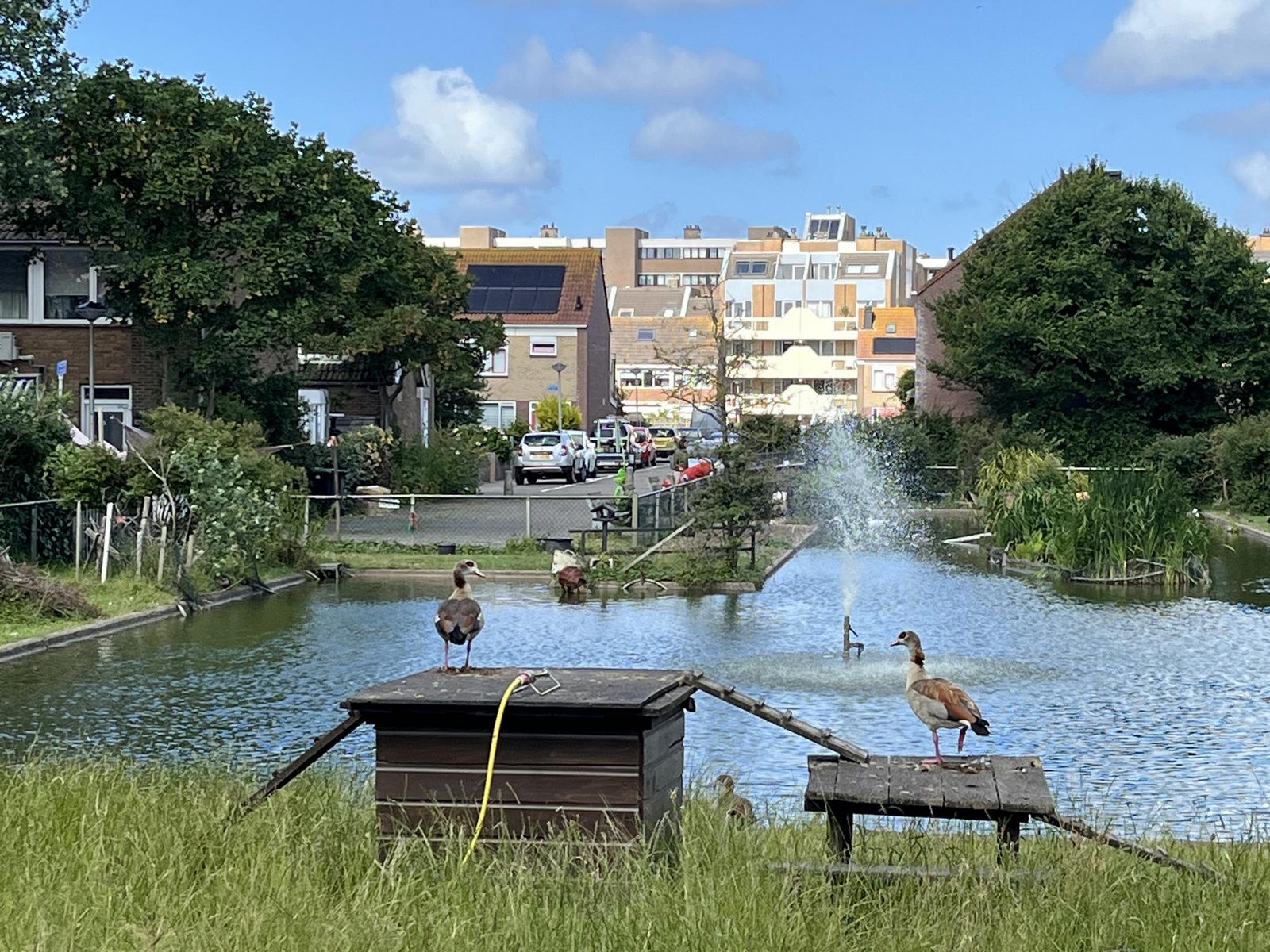 't Vijvertje