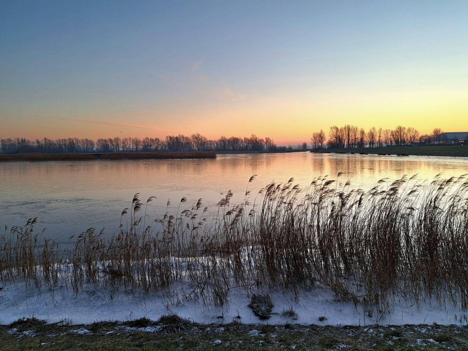 AquaHome Bever de Biesbosch