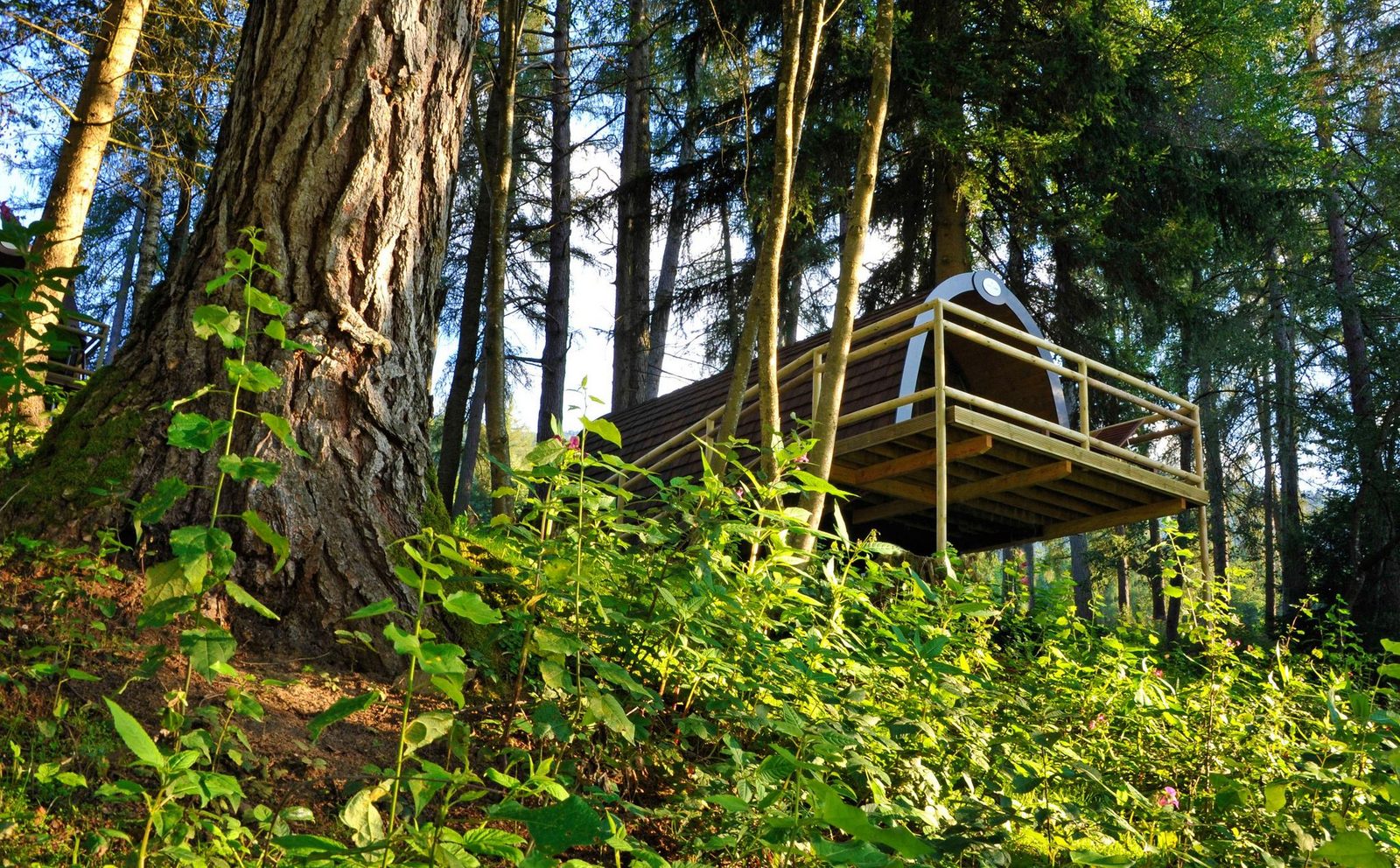Panorama Wood-Lodge