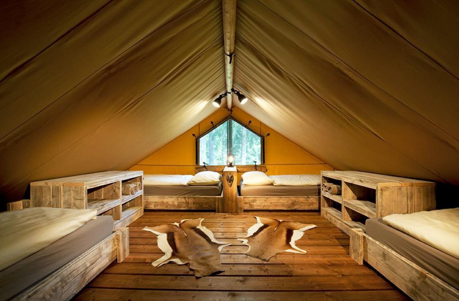 Safari-Lodge Giraffe