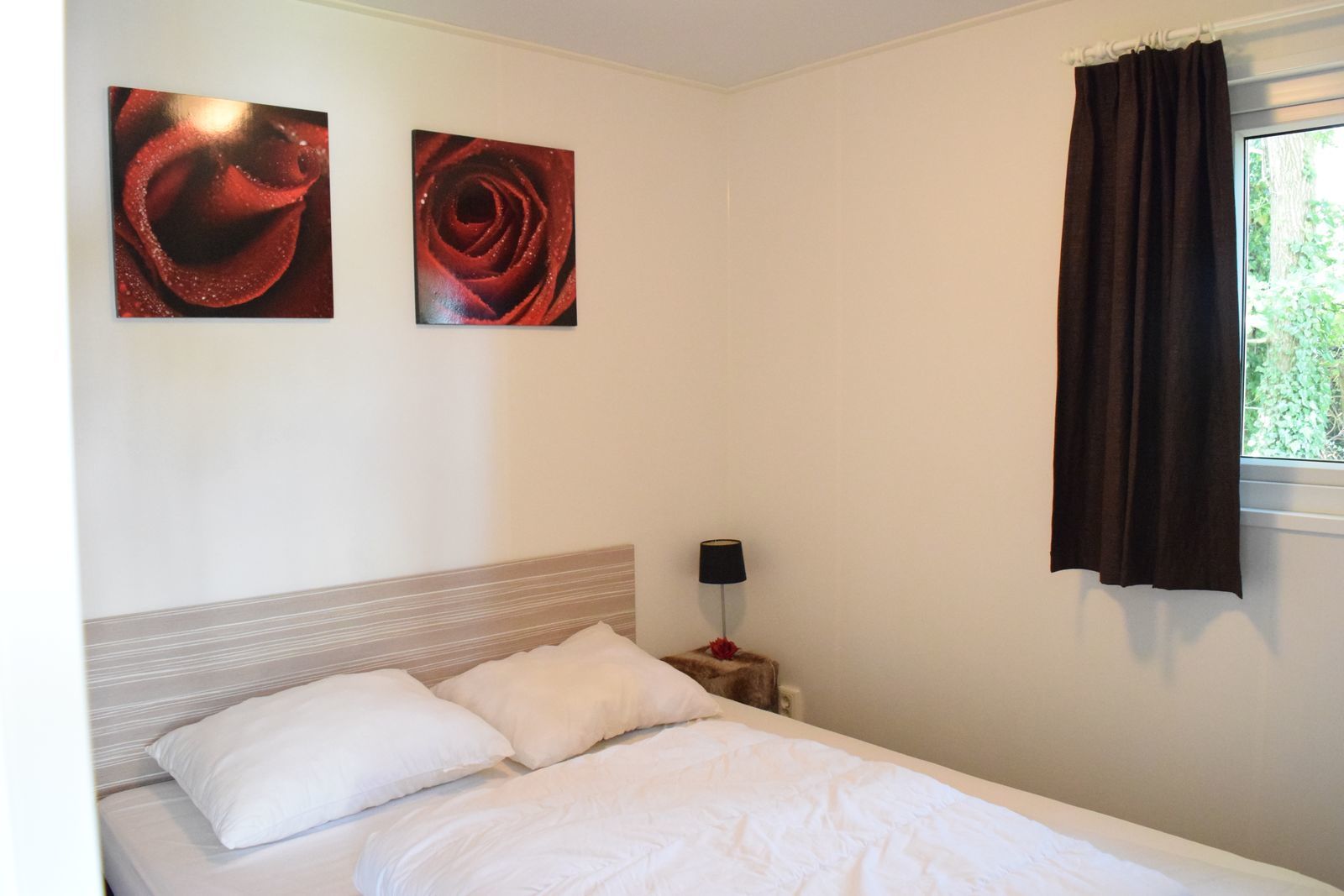 4 person Veluwe lodge Wellness Plus