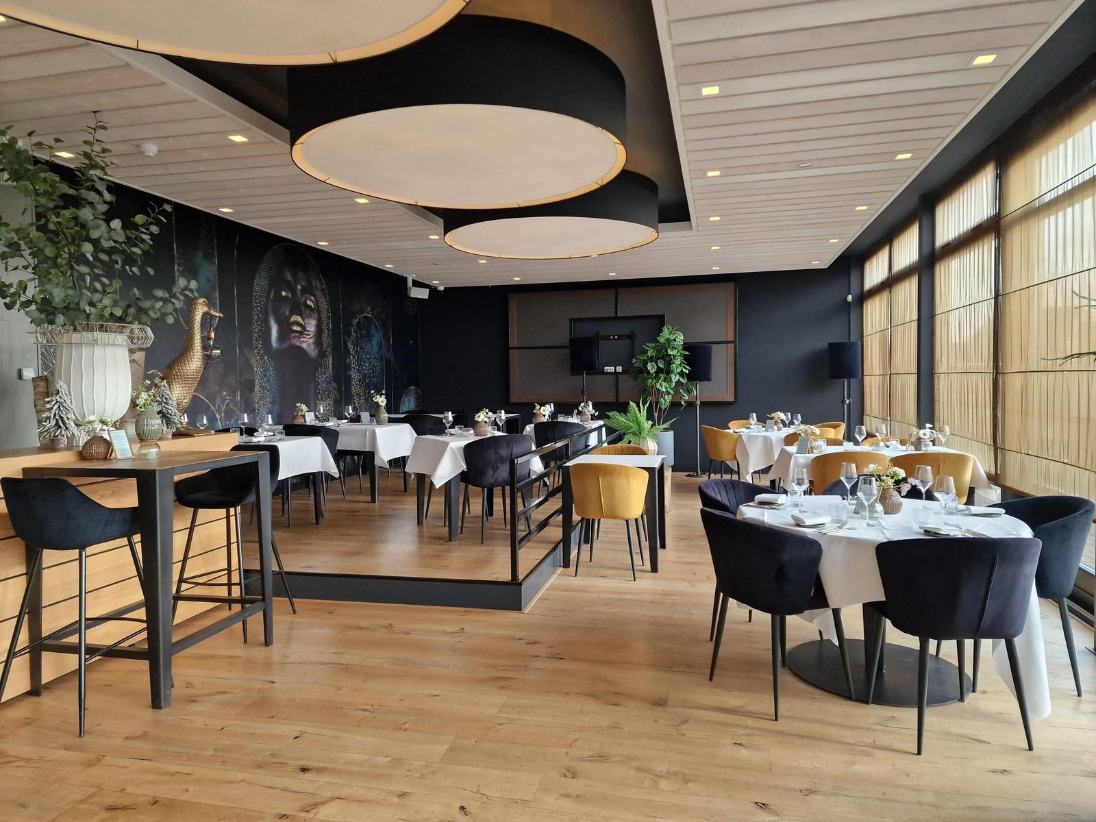 Wieden 6p Standard 