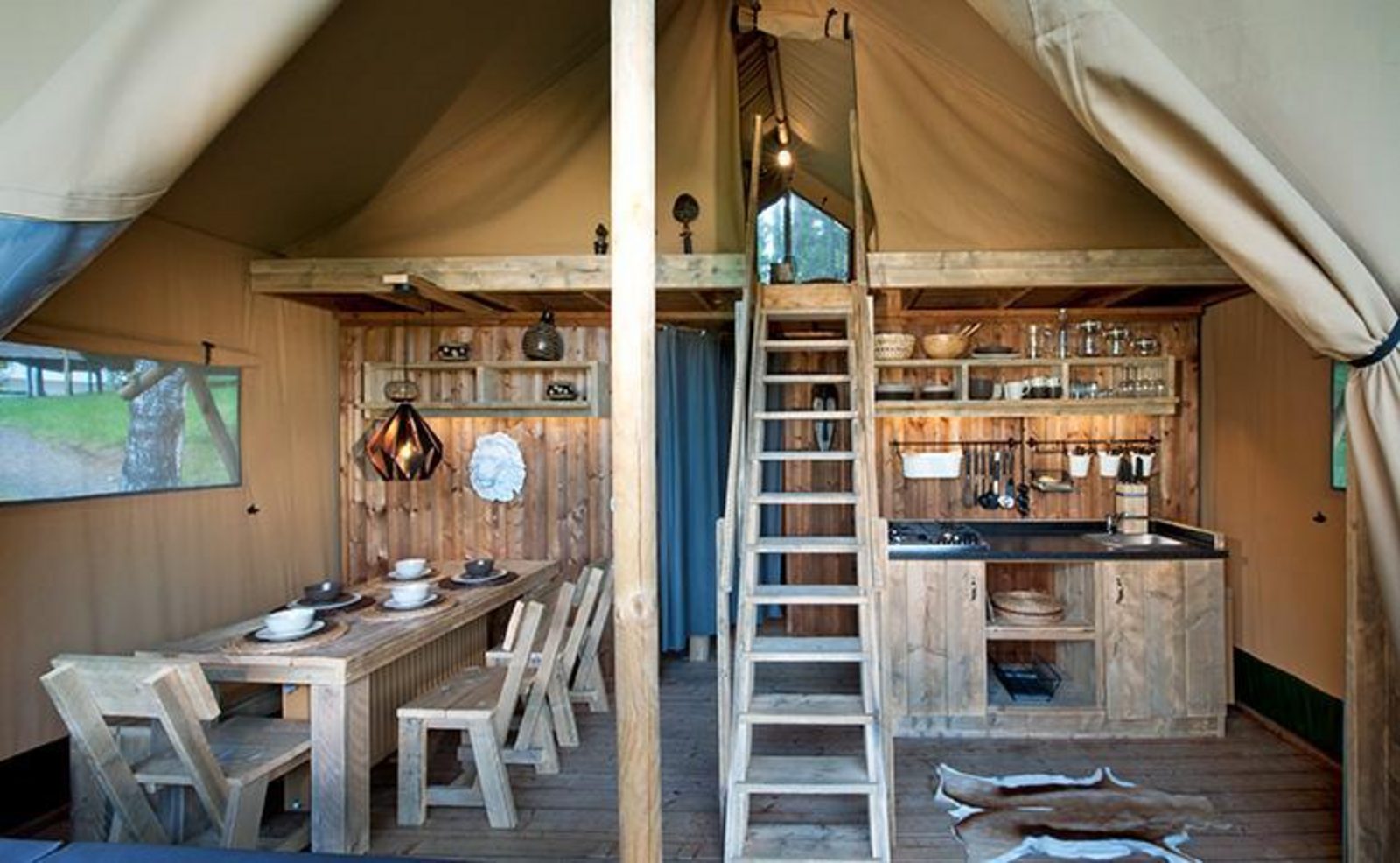 Safari-Lodge Lion