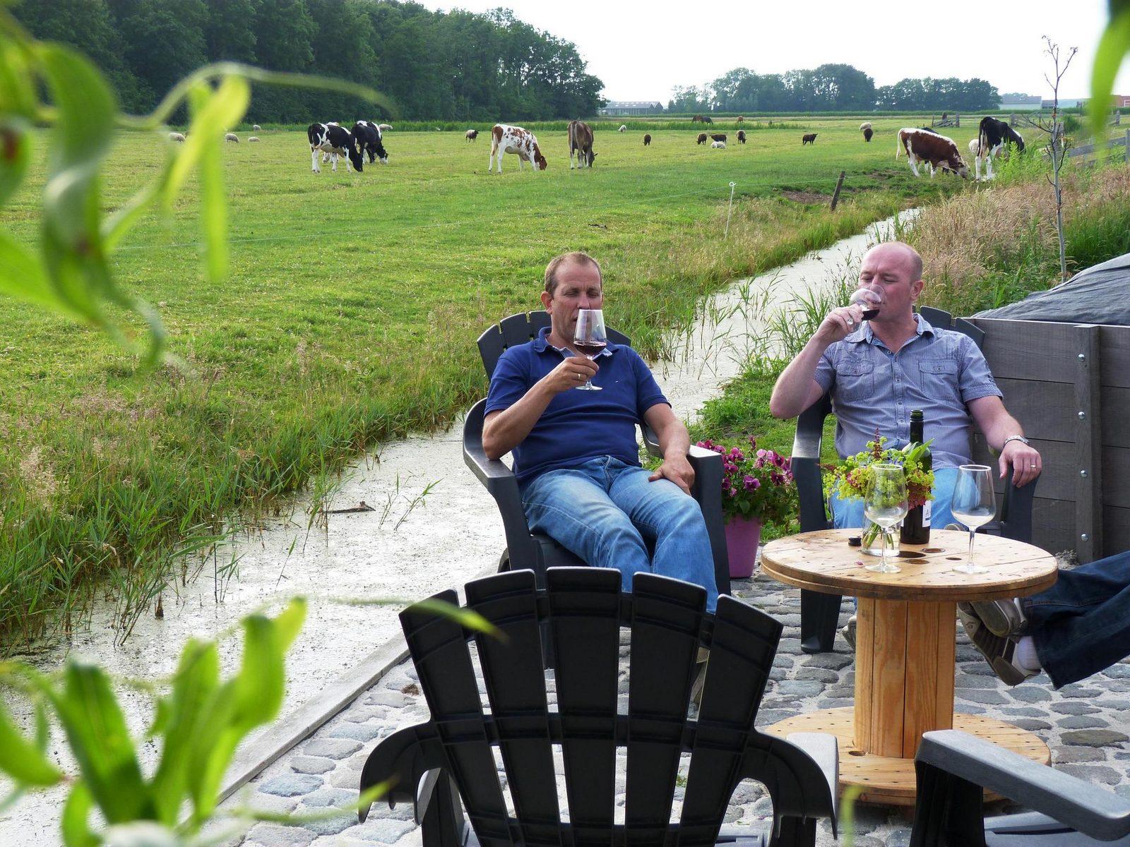 Groepsaccommodatie