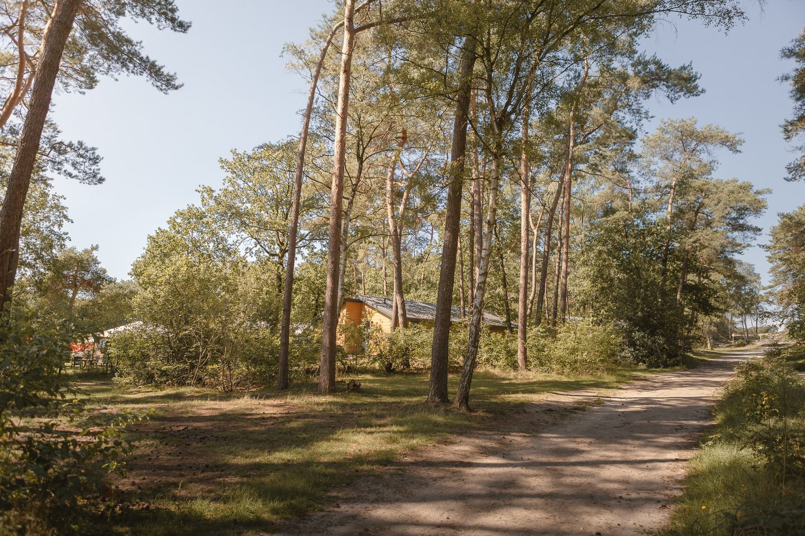 Waldstellplatz kompakt - autofrei