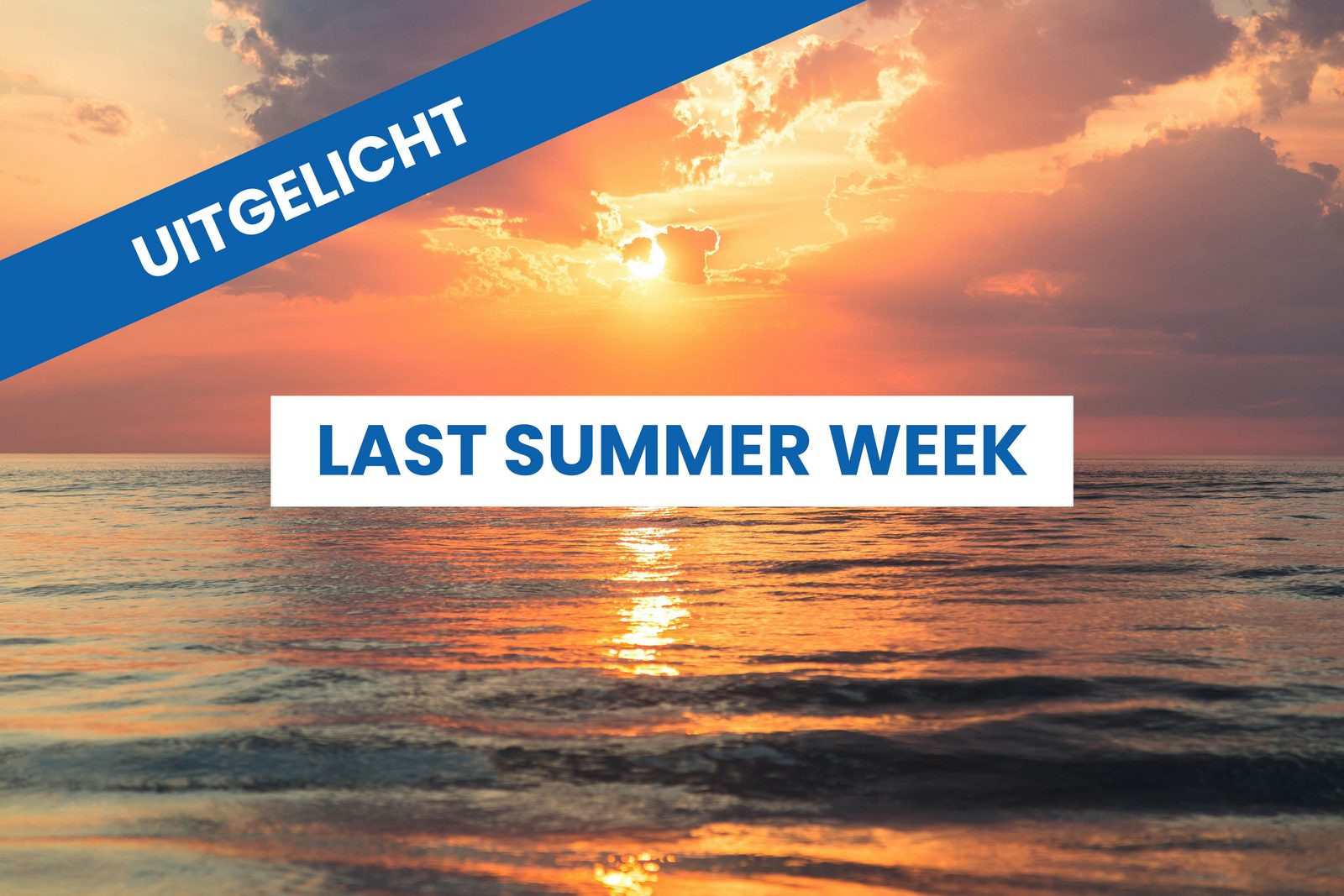 Last Summer Week 2025 - Logeren