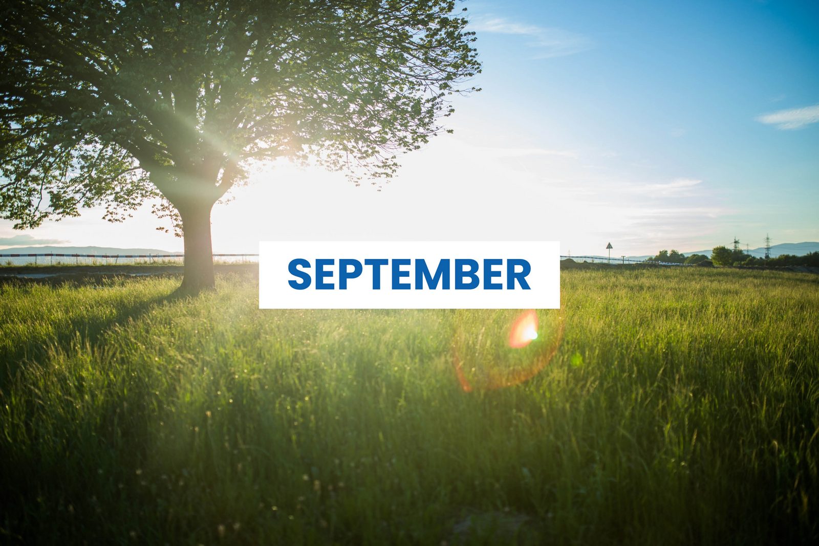 Septembermaand Arrangement 2025
