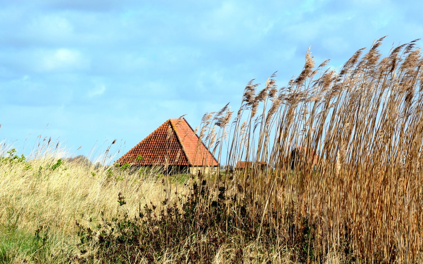 Texels Landleven XL I duurzaam vakantiehuis voor groepen