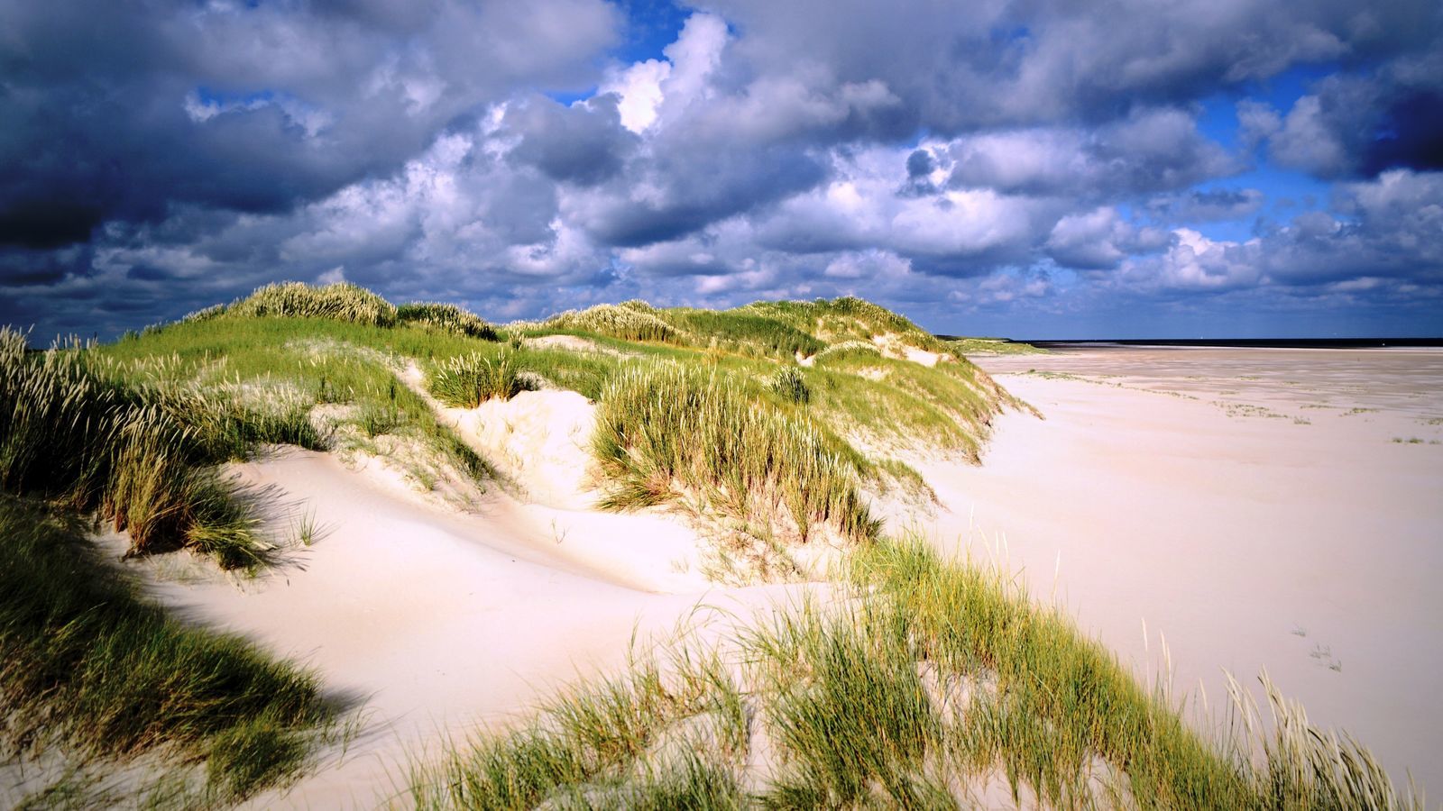 Texels Landleven XL I duurzaam vakantiehuis voor groepen