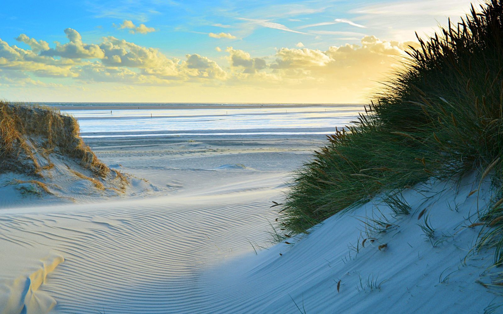 Texels Landleven XL I duurzaam vakantiehuis voor groepen