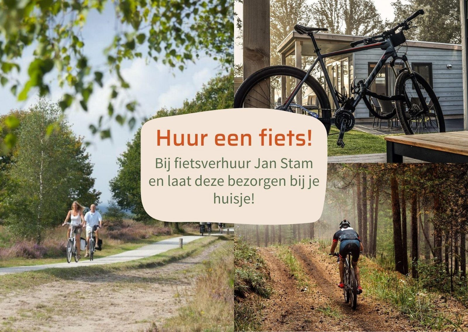 Forest lodge met omheinde tuin | 4 personen 