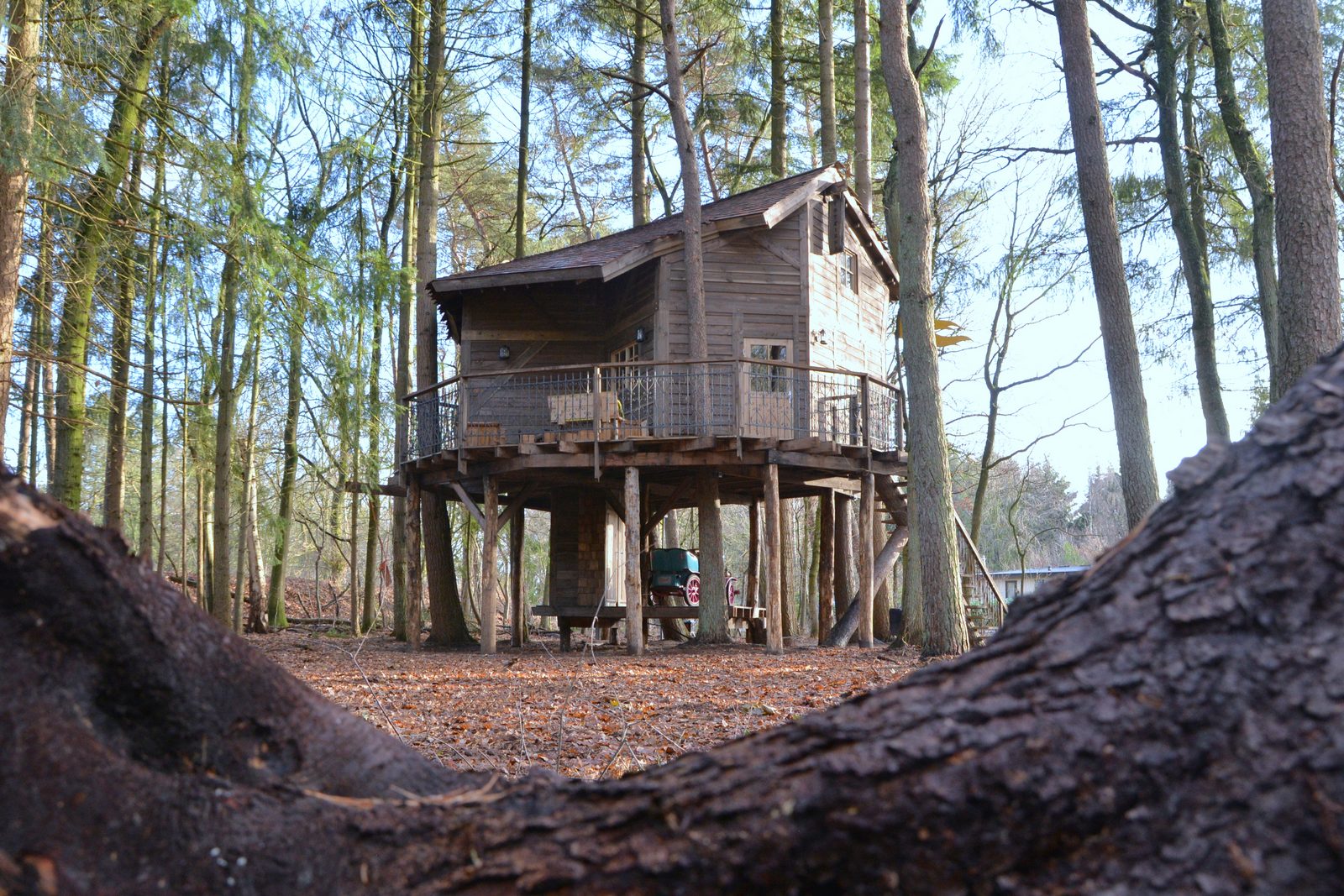 Baumhaus